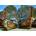 Grafika Art Puzzle - Puzzle Paradise in Phuket - 2 000 piese