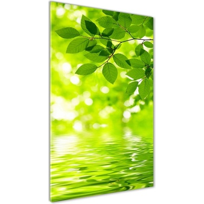 Vertikálny foto obraz sklo tvrdené Zelené lístie 50x100 cm