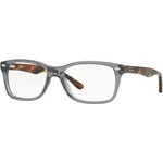 Ray-Ban RX5228 5629