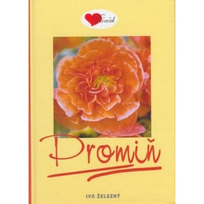 Promiň - Nina Herinková