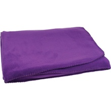 L-Merch Pikniková deka 150 x 120 cm NT1560 Purple