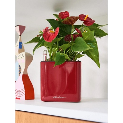 Lechuza Kvetináč Cube Glossy 14 scarlet red high-gloss 14x14x14 cm