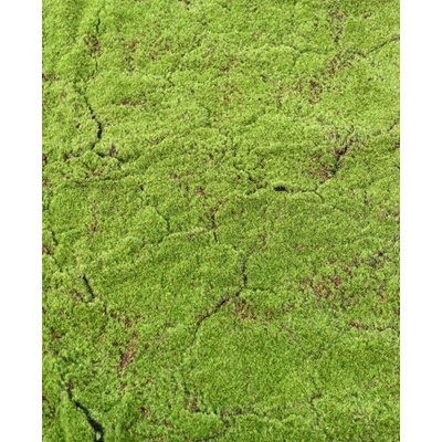 Umelá živá zelená stena MECH LUXE, 100 x 100cm