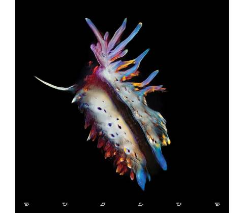 SUB FOCUS - EVOLVE CD