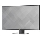 Monitory Dell P4317Q