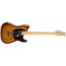Godin Session Custom