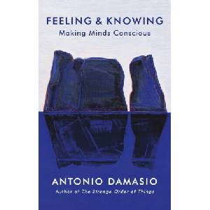 Feeling and Knowing | ANTONIO DAMSIO (ISBN: 9781472147349)