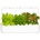 Click & Grow Smart Garden 9 Pro