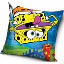 Carbotex SpongeBob a dúha 40 x 40 cm