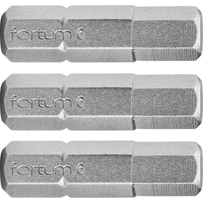 Fortum hrot imbus sada 3ks H 5x25mm S2 4741506