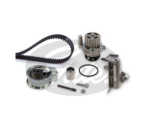 Gates KP25569XS4