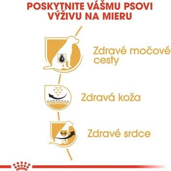 Royal Canin Dalmatin 12 kg