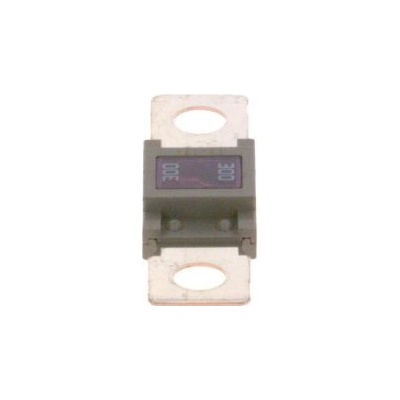 Poistka BOSCH 1 987 531 007