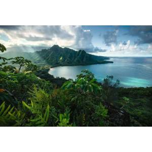 Ravensburger - Puzzle Hawaiian Viewpoint - 5 000 piese