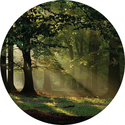 AG Design CR3310 Samolepicí vliesová fototapeta Magic Forest rozměry 140 x 140 cm