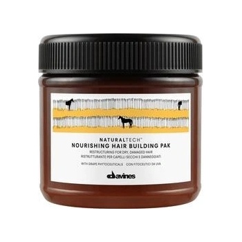 Davines Naturaltech Nourishing Hair Building Pak 60 ml