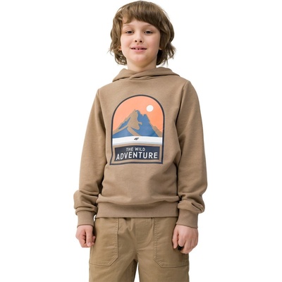 4F 4FJWSS24TSWSM0933-81S brown