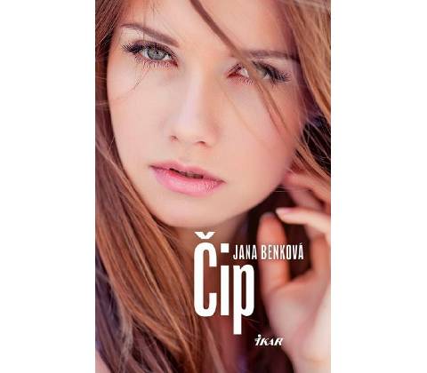 Čip