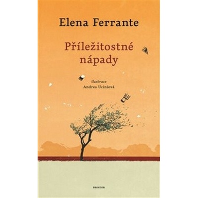 Příležitostné nápady - Elena Ferrante, Andrea Ucini ilustrátor