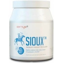 Barny's Sioux MSM 2 x 600 g