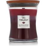WoodWick Trilogy Warm Woods Ароматна свещ 275 g тип Sun Ripened Berries