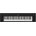 Yamaha NP-15