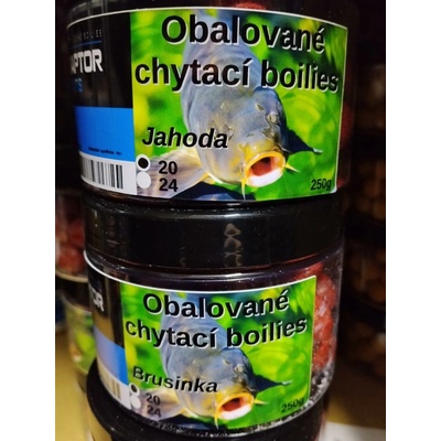 Raptor Baits Chytací boilies 250 g – v práškovém aroma Krill Chilli 20mm
