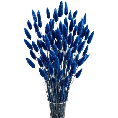 Sušený lagurus (králičí ocásek) tmavě modrý NAVY 45g