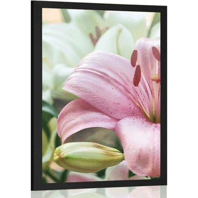Plakát růžová lilie v rozkvětu - 20x30 silver