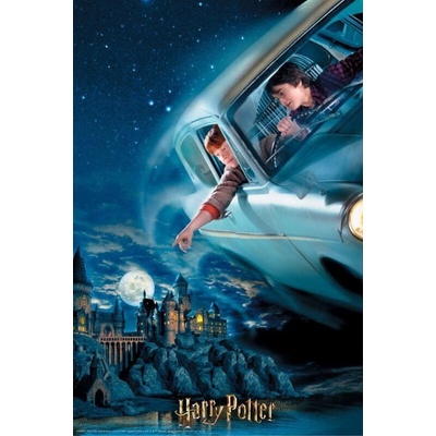 PRIME 3D Harry Potter Harry a Ron nad Bradavicami 3D 300 dielov