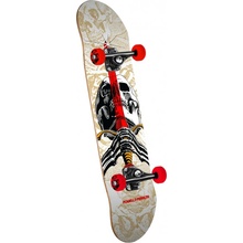 Powell Peralta Skull And Sword One Off