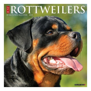 Willow Creek Press Calendars Rottweilers 2026 12 X 12 Wall Calendar | Willow Creek Press