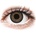 Alcon FreshLook One Day Color Grey 10 pcs without diopter
