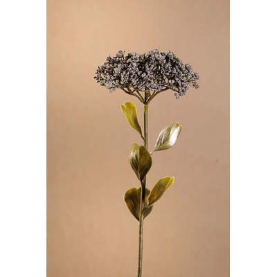 Paramit DRY FULL BLOOM SEDUM Aranžovací květina modrá 46 cm