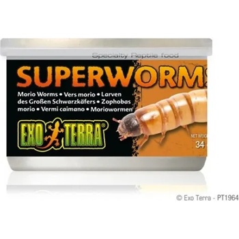 Hagen CANNED FOODS SPECIALTY REPTILE FOOD Superworms - морио червеи 34g - ГЕРМАНИЯ - PT1964