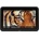 Atomos Shinobi 7 II