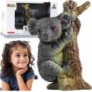 mamido koaly na strome Zoo zvieratá