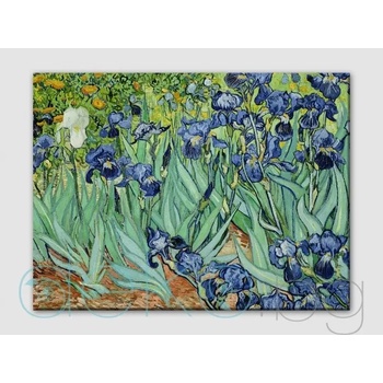 Image 1 of Ириси, Винсент ван Гог - репродукция (85002)