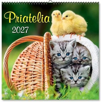 Nástenný Priatelia 2027
