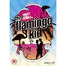 The Flamingo Kid DVD
