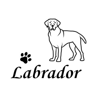 Nažehlovací nápis Labrador Vzor: 2, Potisk: tmavě šedá, Motiv: tlapka