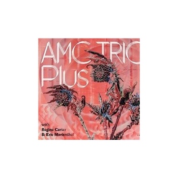 AMC TRIO - PLUS CD