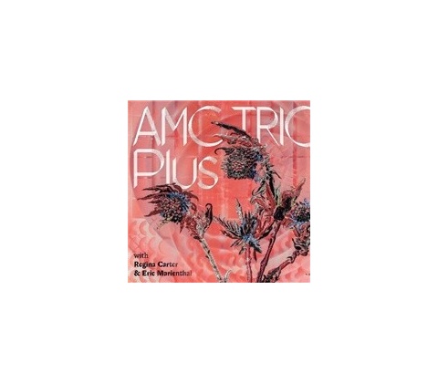 AMC TRIO - PLUS CD