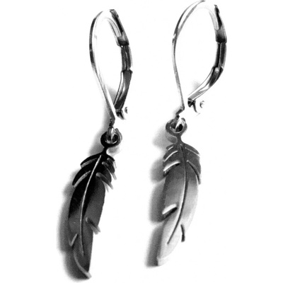 Steel Jewelry náušnice pírka z chirurgické oceli NS140206
