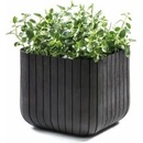 Keter 230225