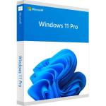 Microsoft Windows 11 Pro OEM (Lifetime License / Global)