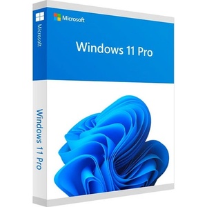 Microsoft Windows 11 Pro OEM (Lifetime License / Global)
