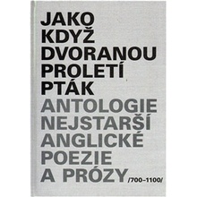 Jako když dvoranou proletí pták - Jan Čermák