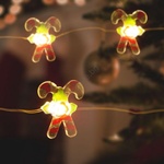 Family Collection LED коледен гирлянд 20xLED/2xAA 2, 2m топла бяла (LC3547)