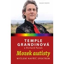 Mozek autisty